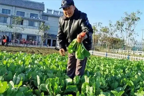 图片细节